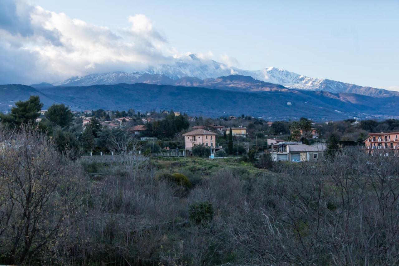 Suite con Terrazza